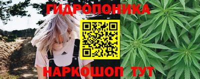 гашик Краснодар