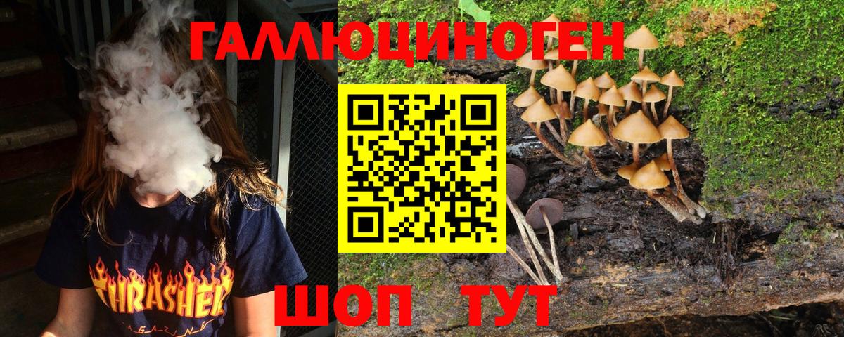 Иваново  купить закладку  Вход с VPN  Галлюциногенные грибы Psilocybe 