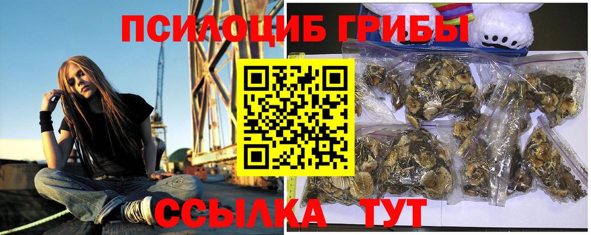 Псилоцибиновые грибы прущие грибы Иваново